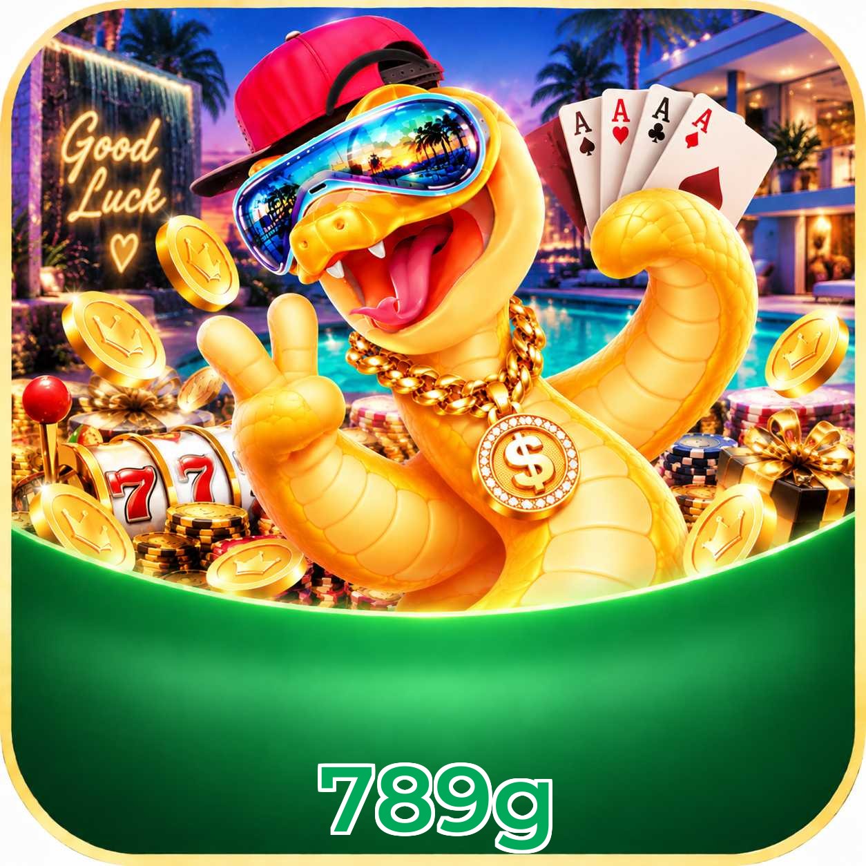 Benefícios Bronze VIP da 789g
